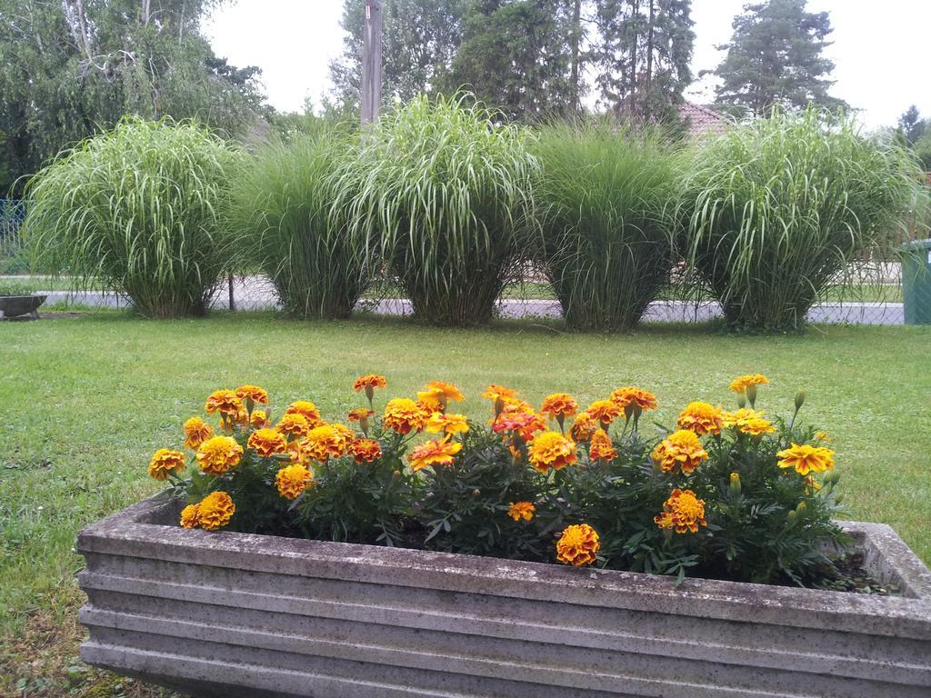 Hajas Familia Kiado Szobak Balatonmáriafürdő Εξωτερικό φωτογραφία